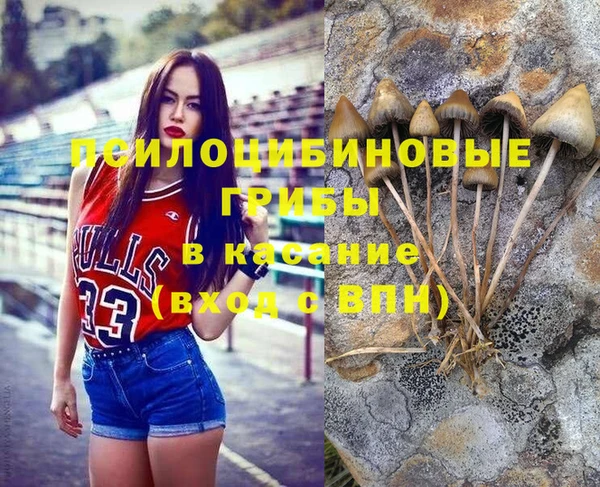 прущие грибы Белоозёрский