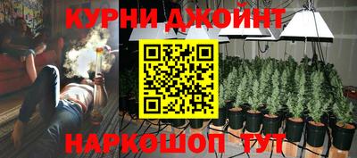 ешки Волгодонск