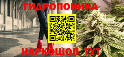 ешки Волгодонск