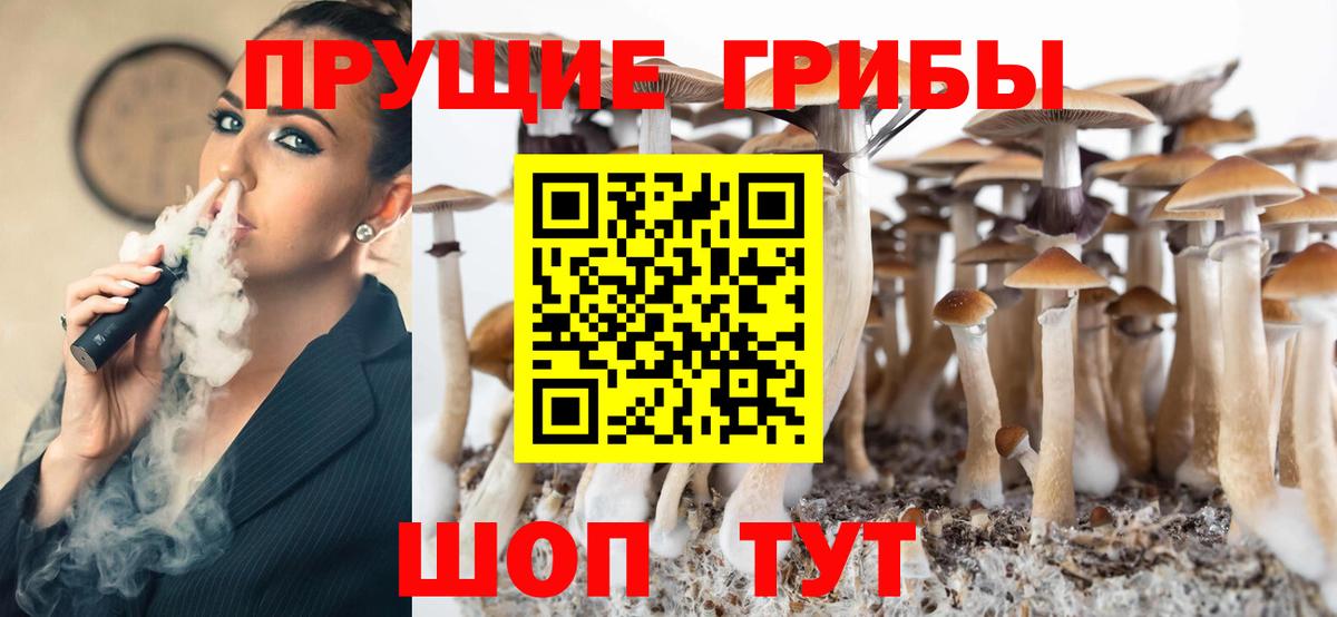 Псилоцибиновые грибы Cubensis Домодедово