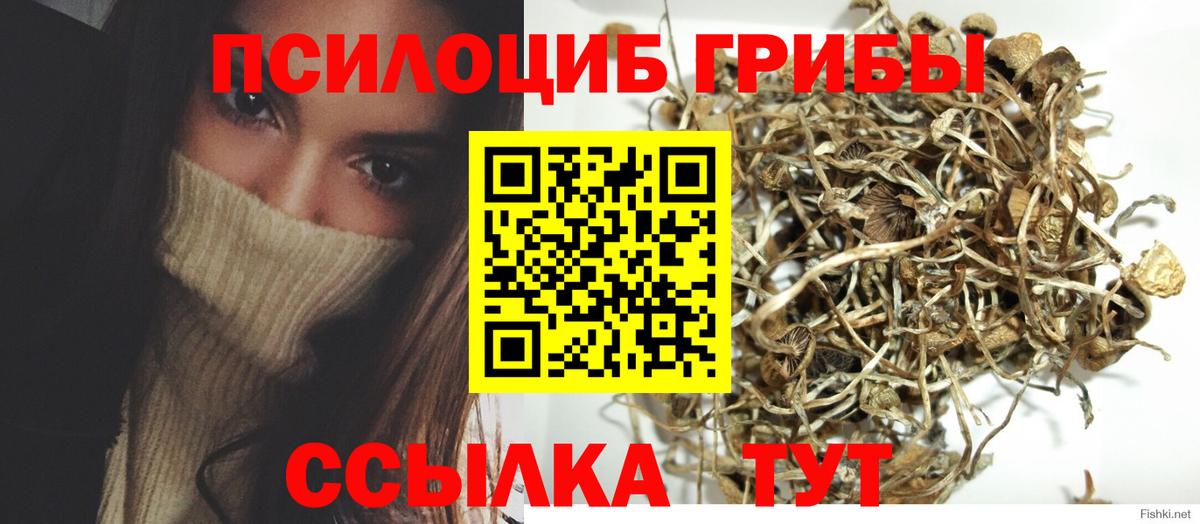 Псилоцибиновые грибы Psilocybe  Псилоцибиновые грибы Cubensis  Домодедово  Вход с VPN 